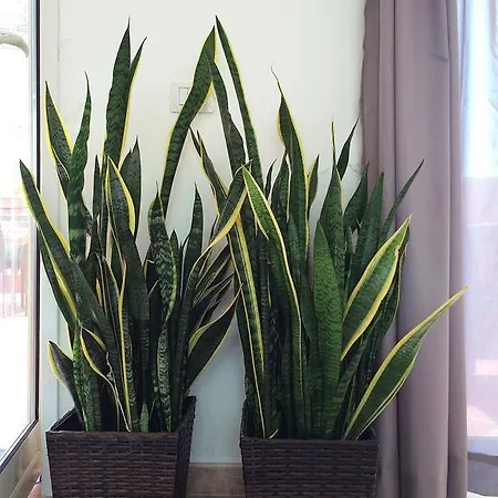 Apartment Center 4 Bedroom Penthouse, Terrace With Views *